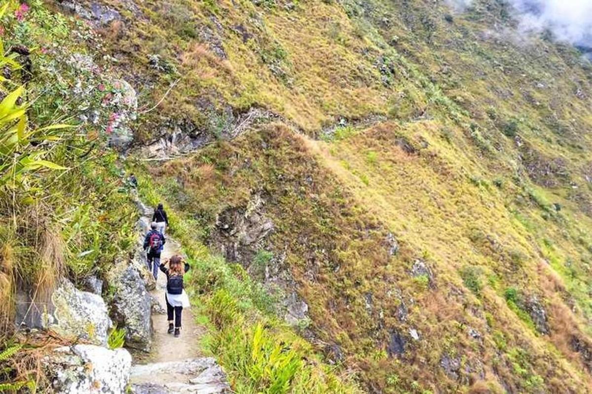 un gruppo di persone che camminano su un sentiero di montagna