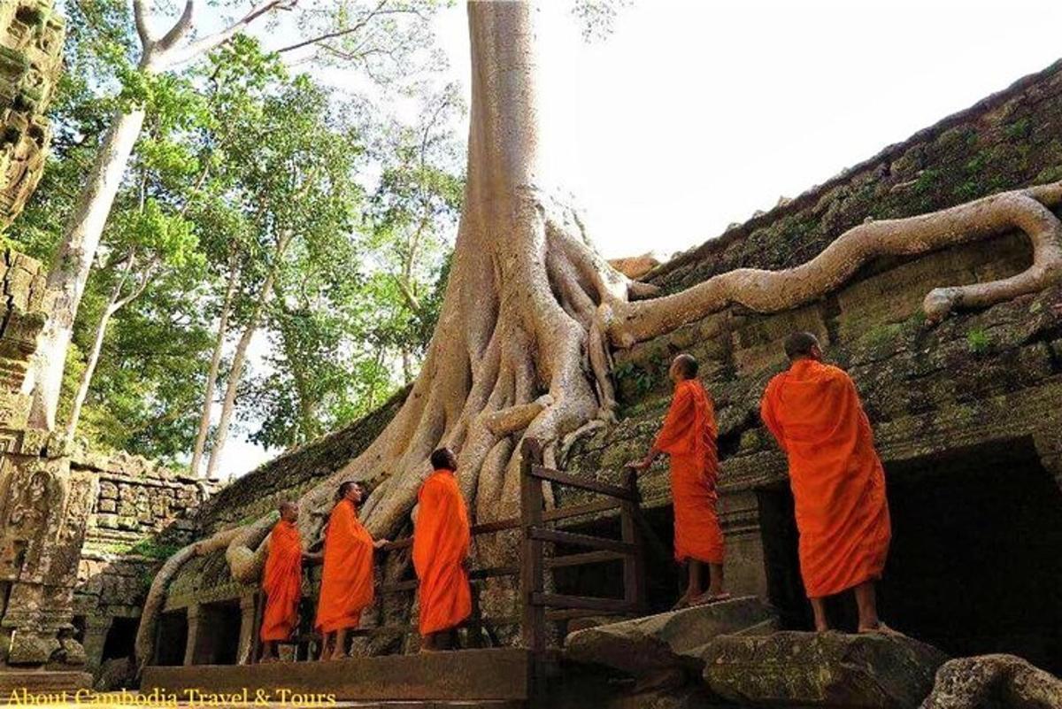 un gruppo di monaci in piedi davanti a un albero