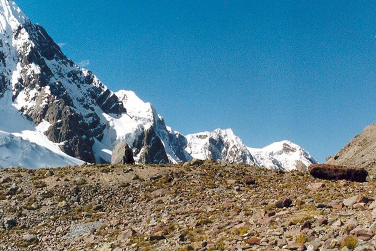 una montaña cubierta de nieve en medio de un campo