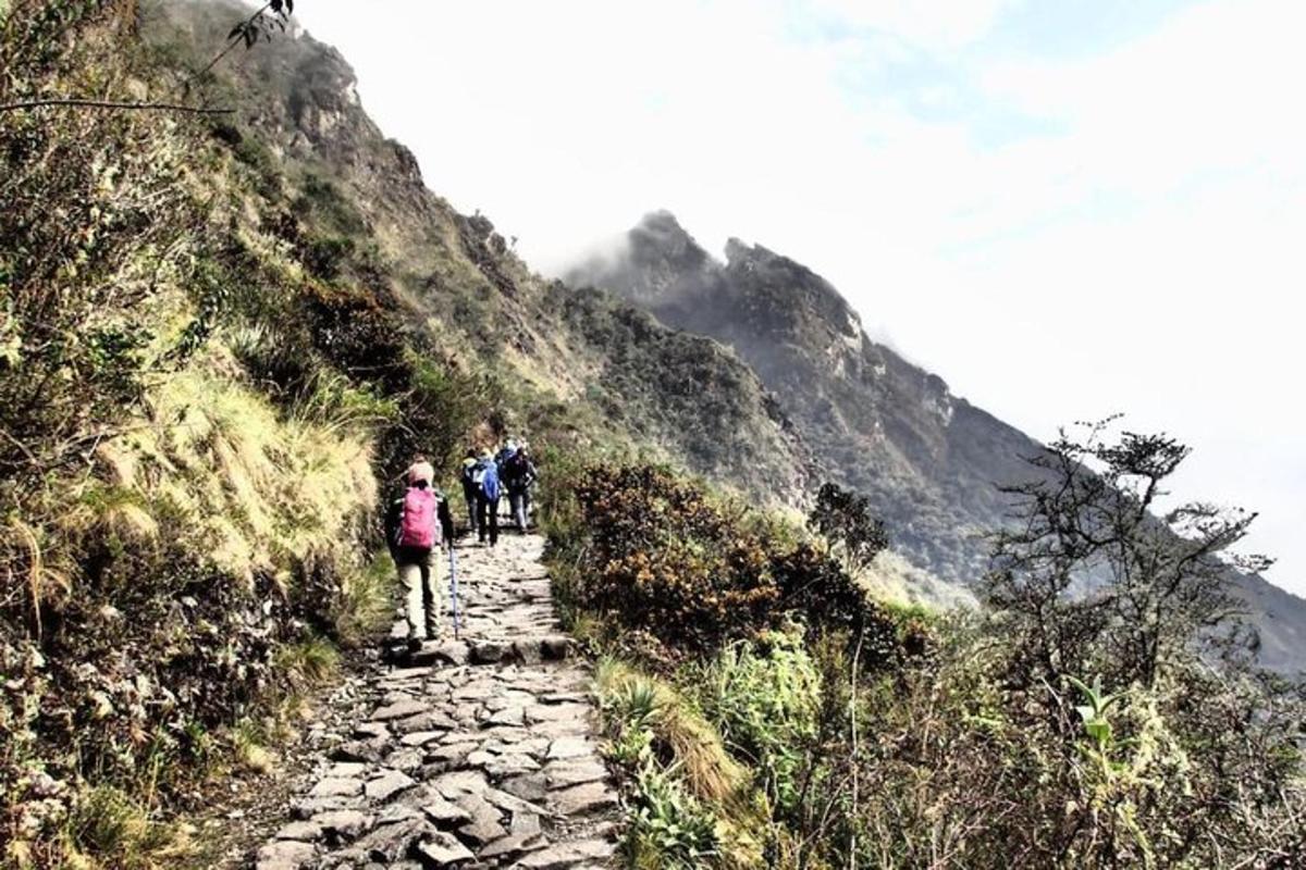 un gruppo di persone che camminano su un sentiero di montagna