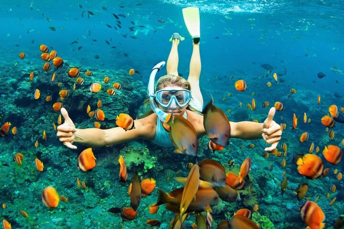 Un hombre con una máscara de snorkel y un grupo de peces.