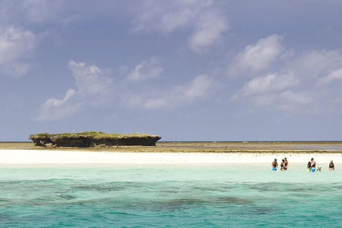 Un grupo de personas de pie en una playa en el océano.
