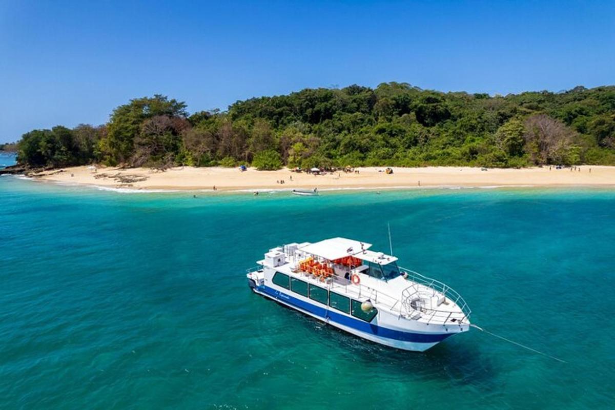 una barca in acqua vicino a una spiaggia