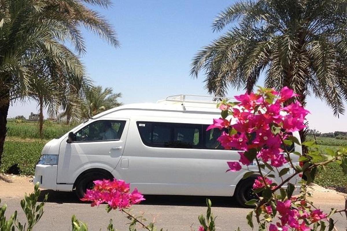 Una camioneta blanca estacionada junto a una palmera