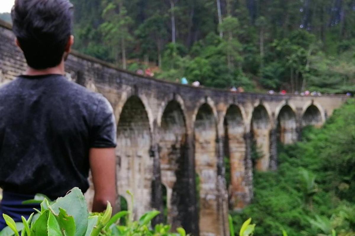 a man standing in front of a stone bridge