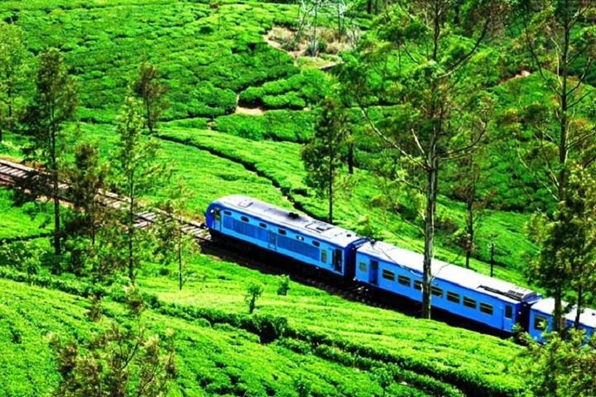 a blue train traveling through a lush green hillside