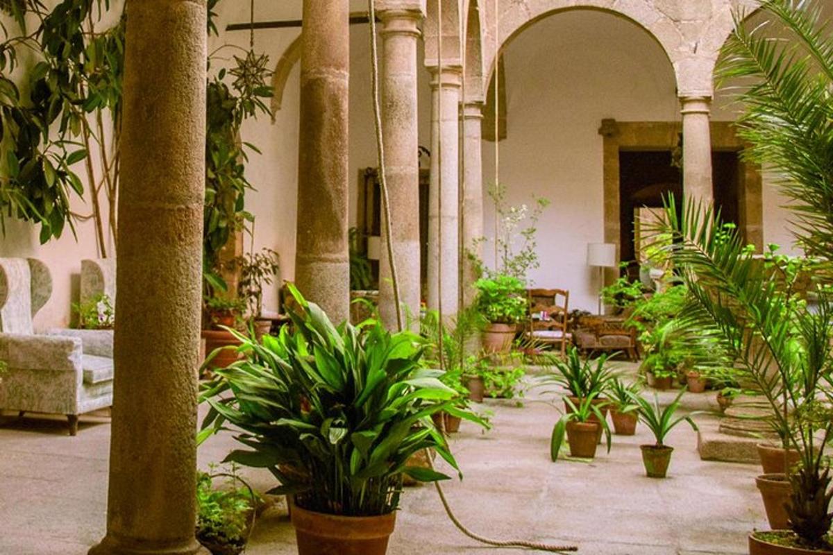 غرفة مليئة بالعديد من النباتات في المبنى