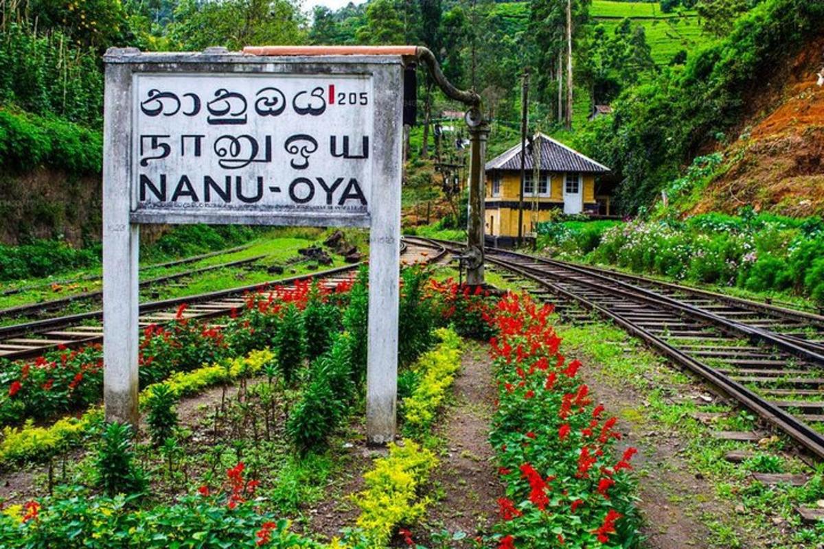 a sign next to some train tracks with flowers