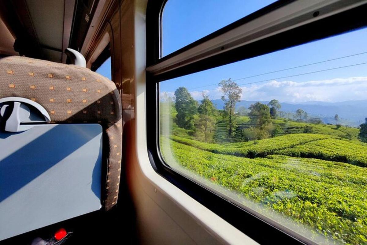 a view from a train window of a tea plantation