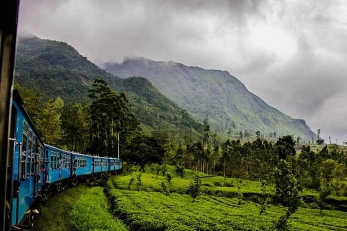 a blue train traveling through a green field with mountains