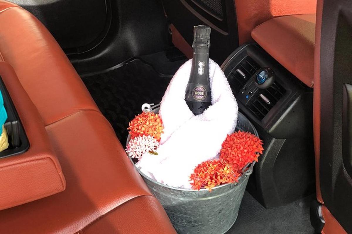 a duck in a bucket in a car