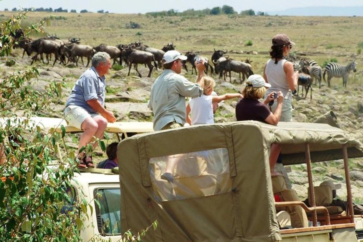 a group of people sitting on the roof of a vehicle with a herd of animals