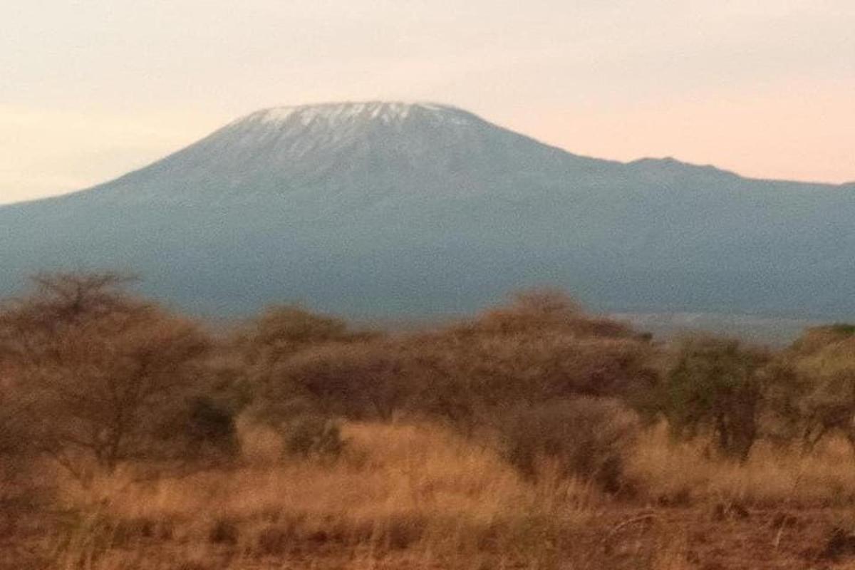 ein schneebedeckter Berg in der Ferne mit Bäumen im Vordergrund