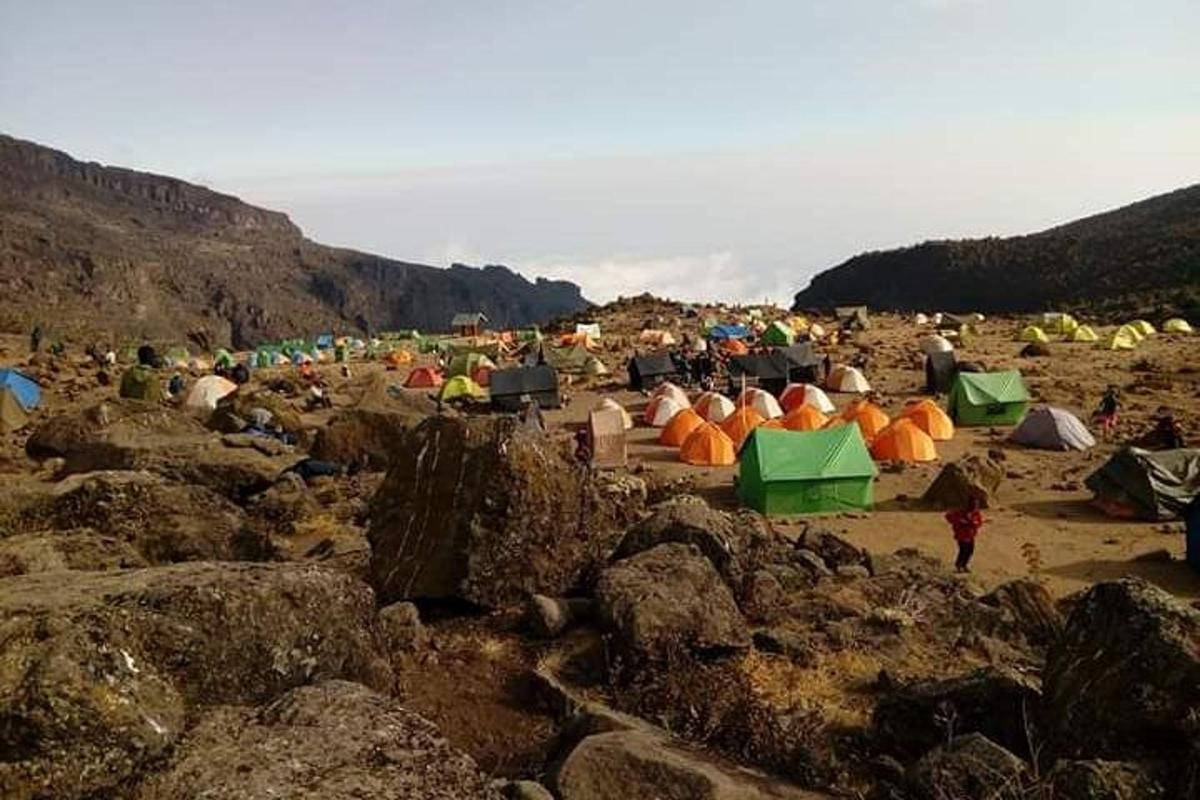 grupp inimesi, kes seisavad telkidega rannas