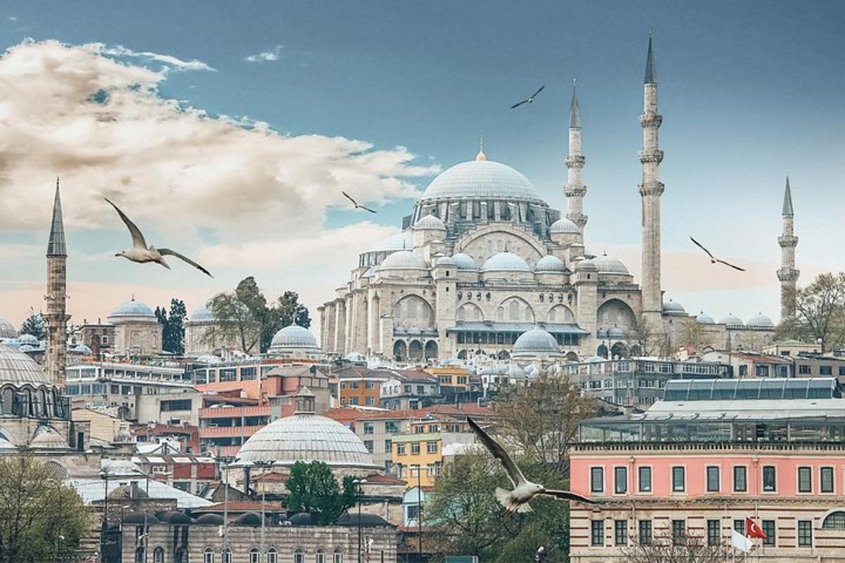 Näkymä lintujen kanssa Sultan Ahmetin moskeijaan Istanbulissa