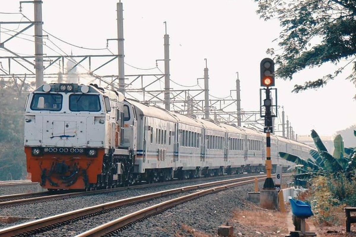 a train on the tracks with a traffic light