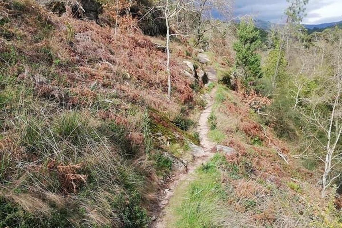 Un camino de tierra en una colina con césped y árboles.