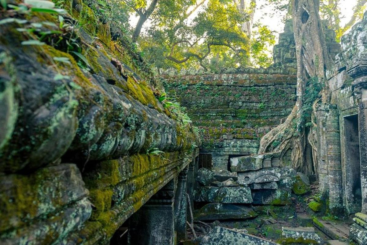một bức tường đá cũ có rêu trên đó