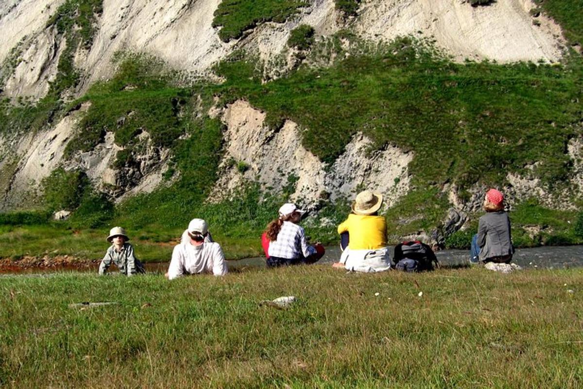 Un grupo de personas sentadas en el césped cerca de una montaña.