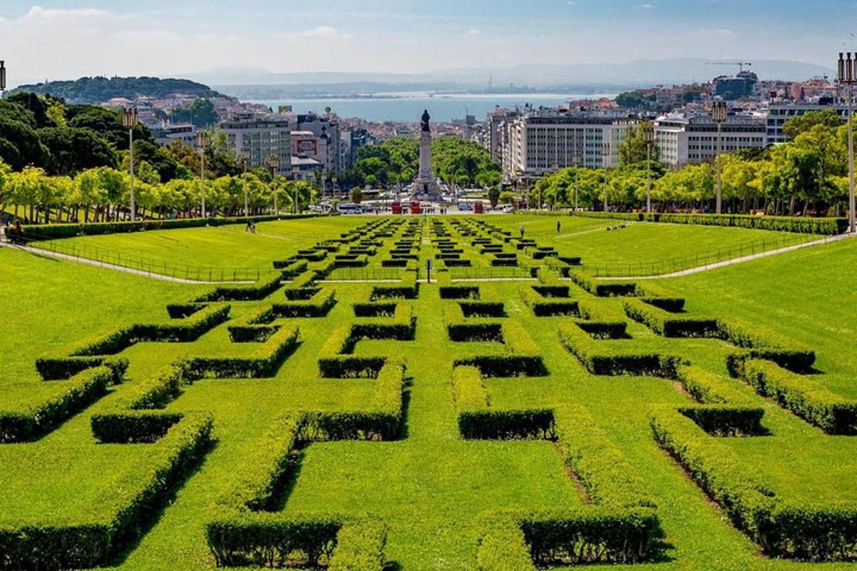 un parc mare cu un labirint de gard viu în iarbă