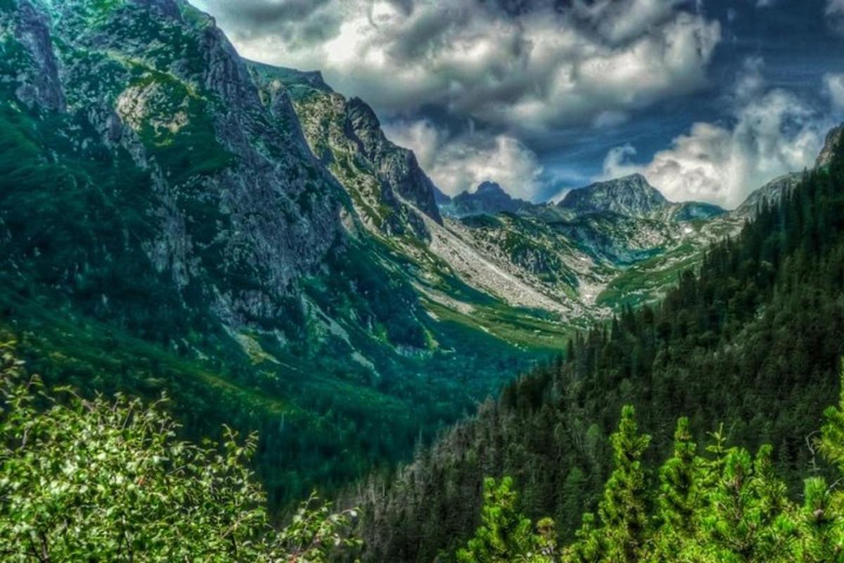 вид на гірську долину з деревами