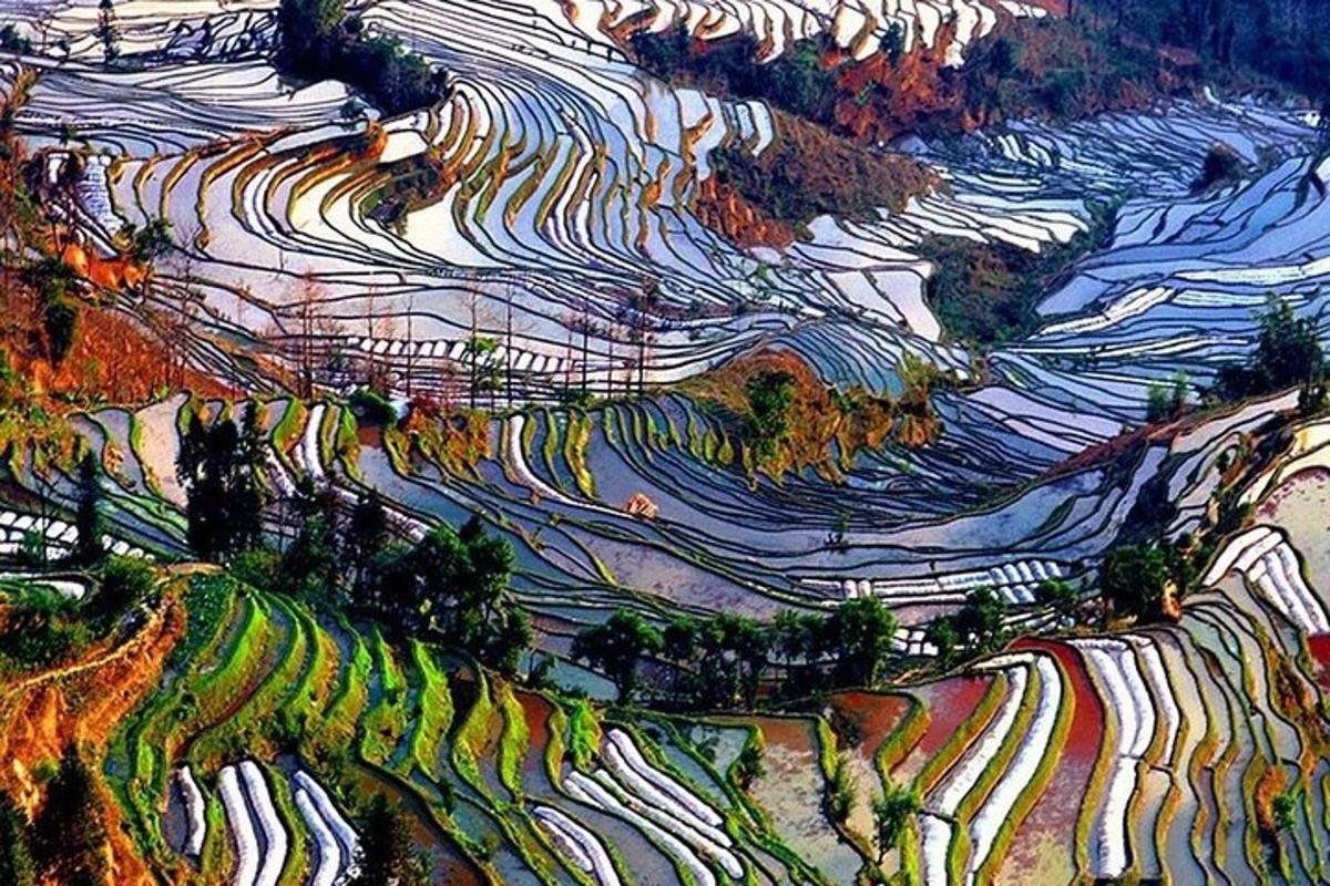 an aerial view