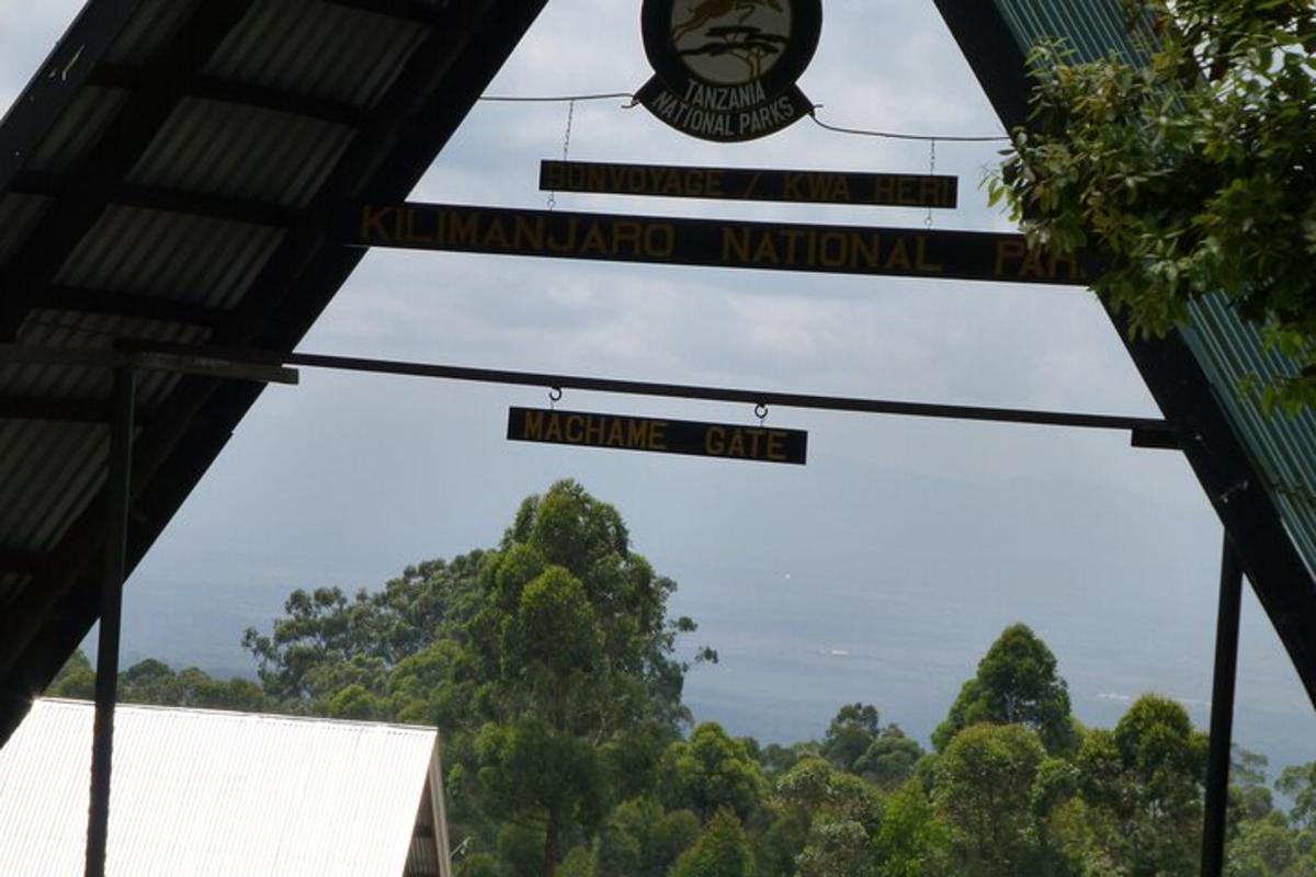 tanda untuk kafe nikotin dengan pokok di latar belakang