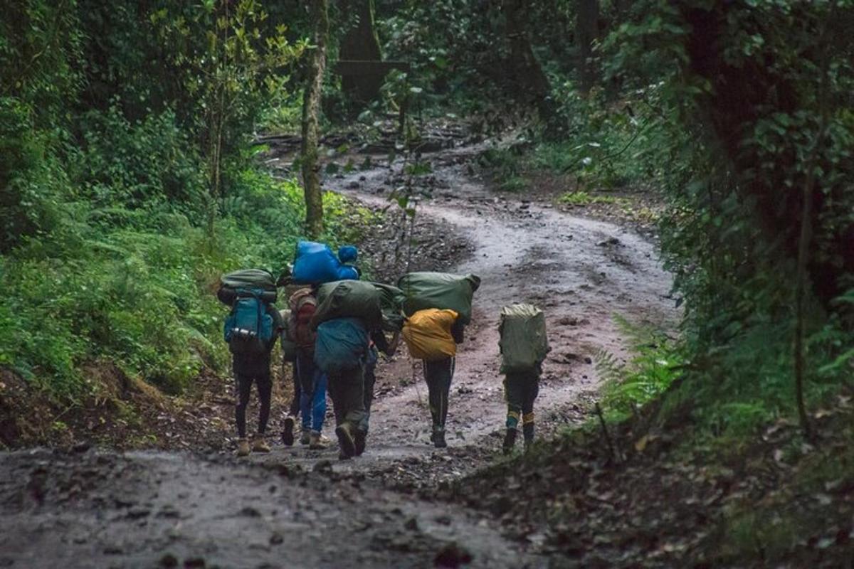 sekumpulan orang berjalan di jalan tanah