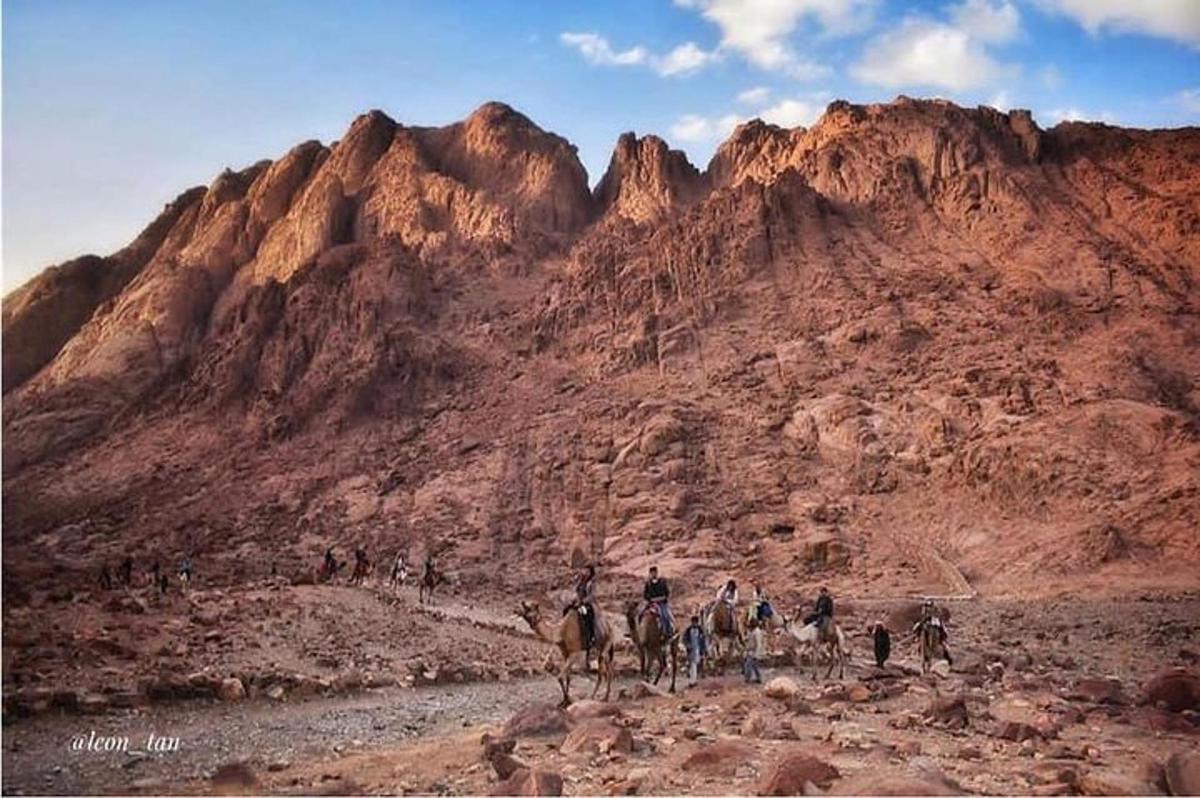 Un grupo de personas montando a caballo en el desierto.
