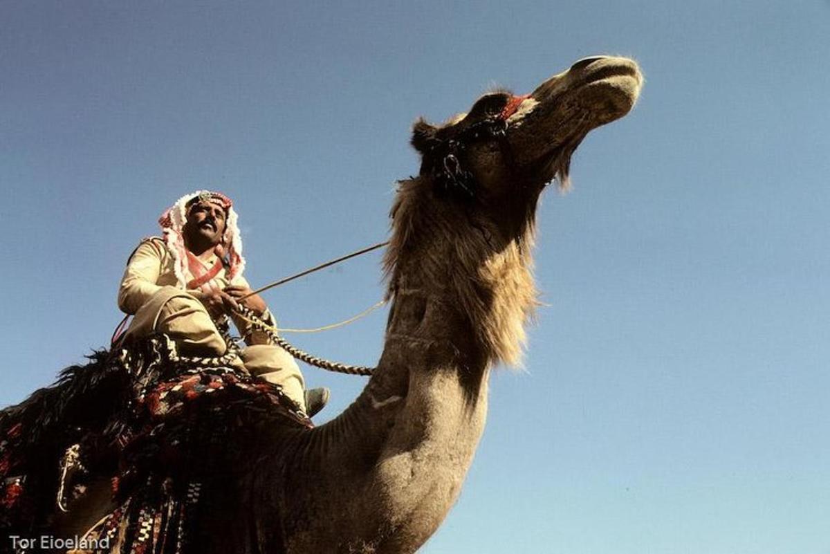 un uomo a cavallo di un cammello