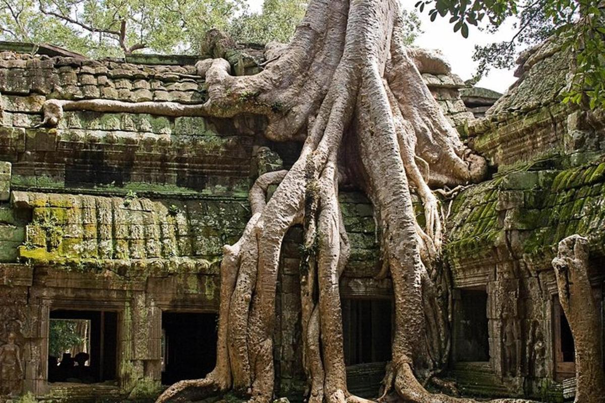 un edificio con alberi che crescono ai lati
