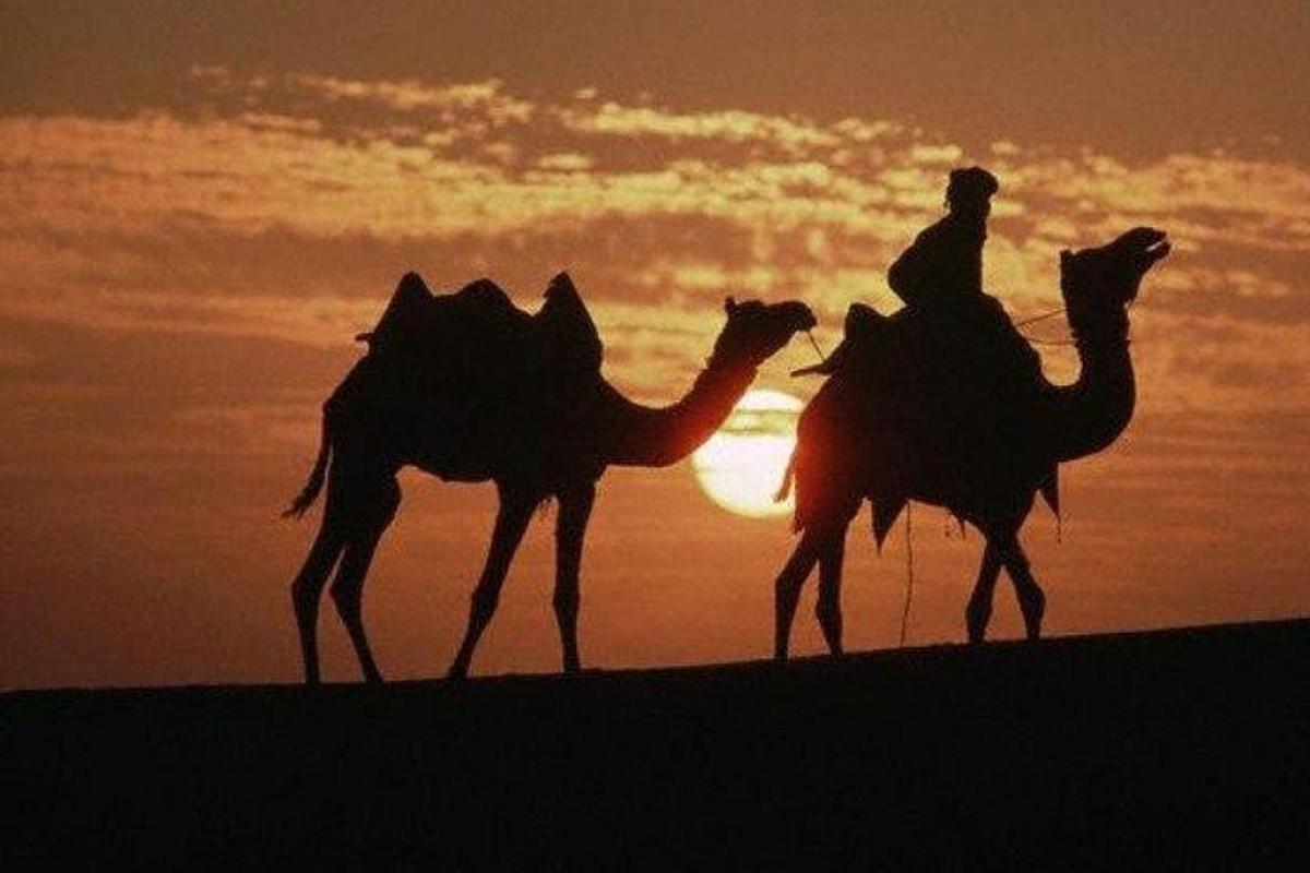due persone a cavallo di cammelli di fronte al tramonto