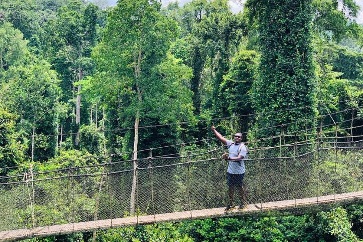 un uomo in piedi su un ponte nella giungla