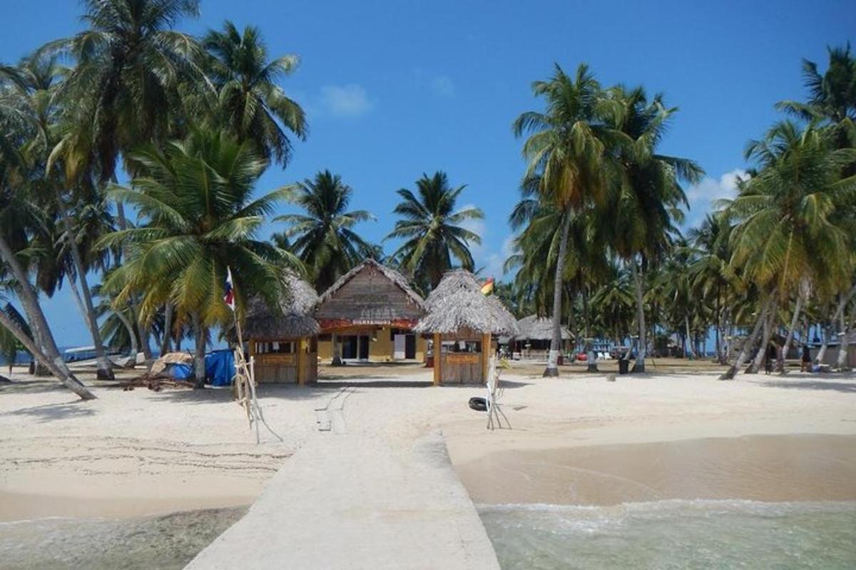 une plage avec des palmiers et une cabane sur la plage