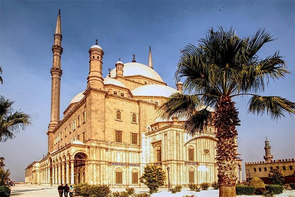 una moschea con una palma di fronte