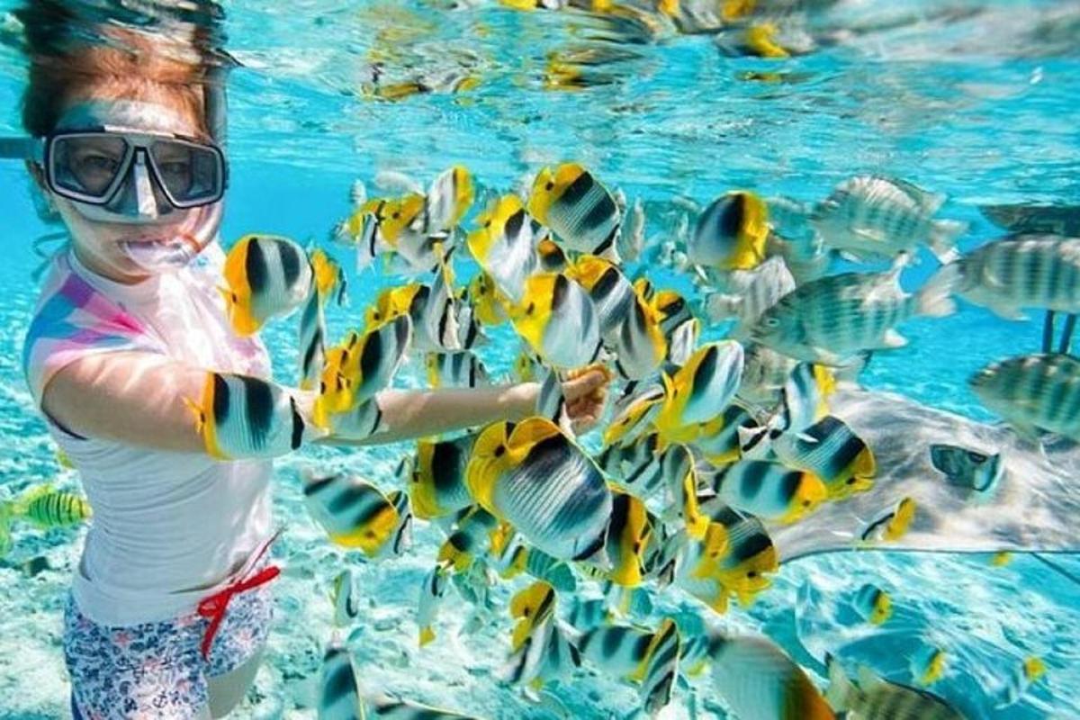 một người phụ nữ trong nước đang nhìn một nhóm cá