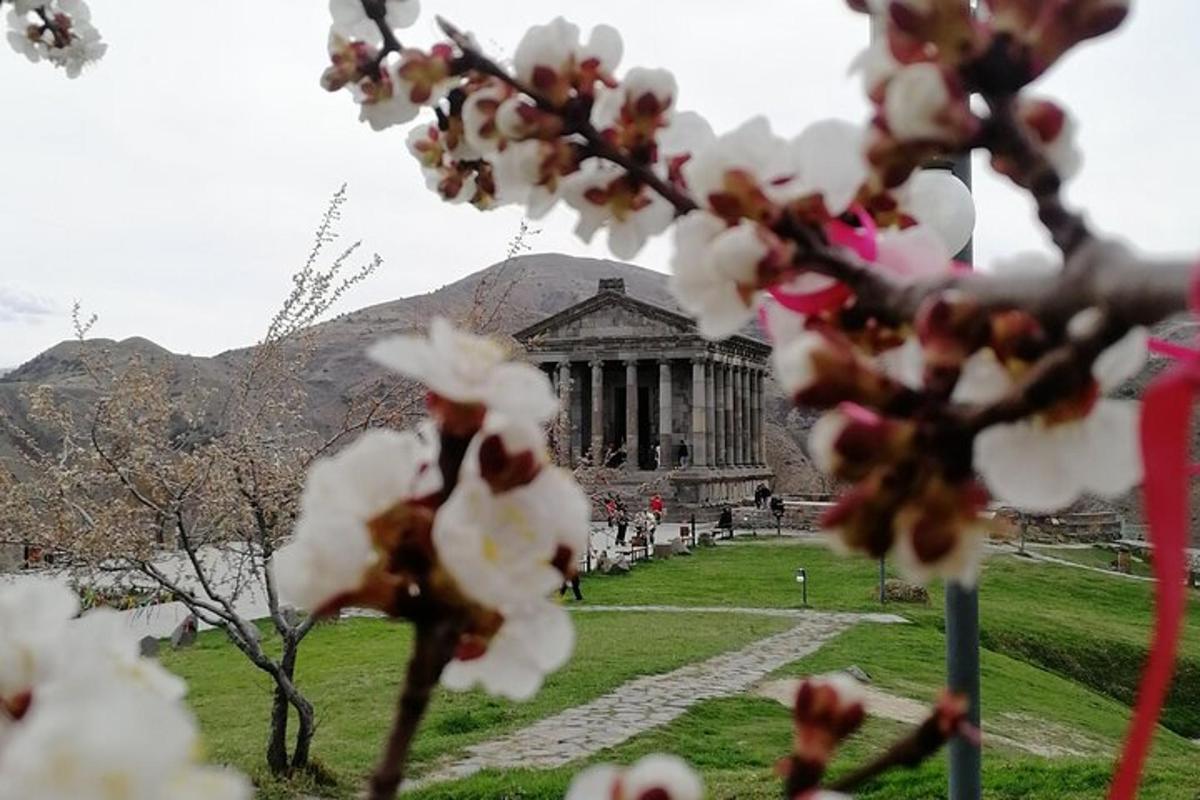 uma árvore com flores brancas em frente a um prédio