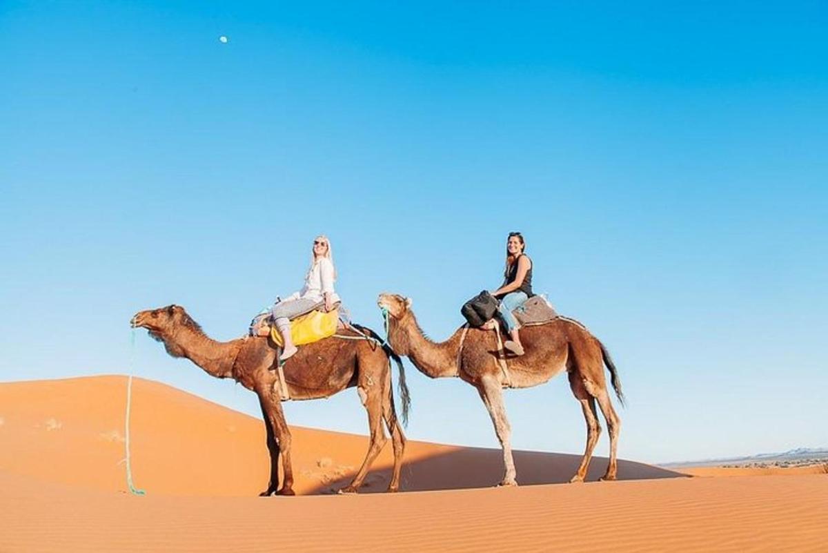 due persone a cavallo sui dorso dei cammelli nel deserto