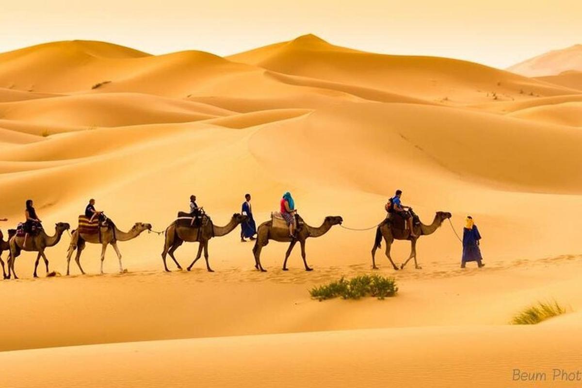 un gruppo di persone a cavallo di cammelli nel deserto