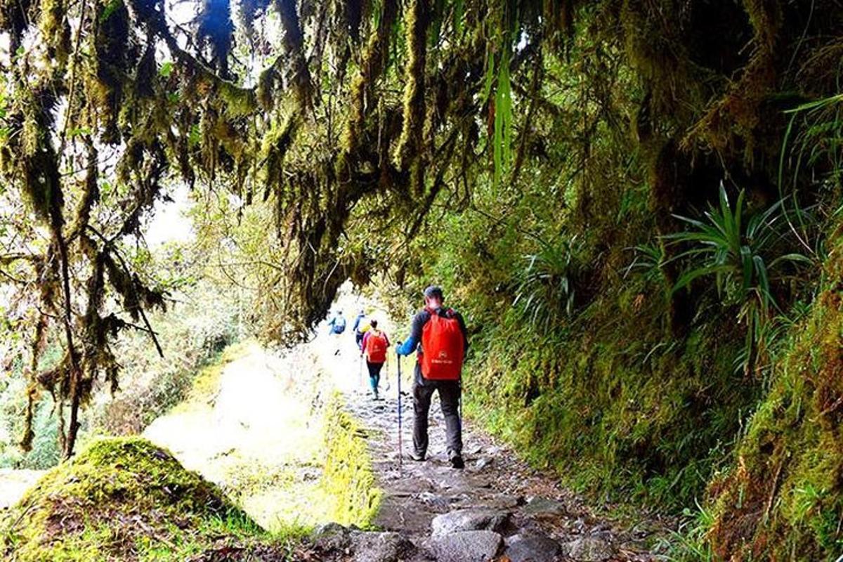 a group of people walking down a mountain path