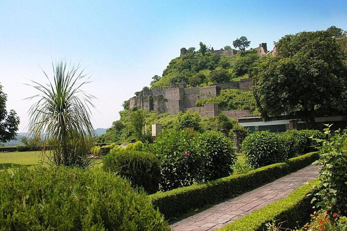 a castle on top of a hill with bushes