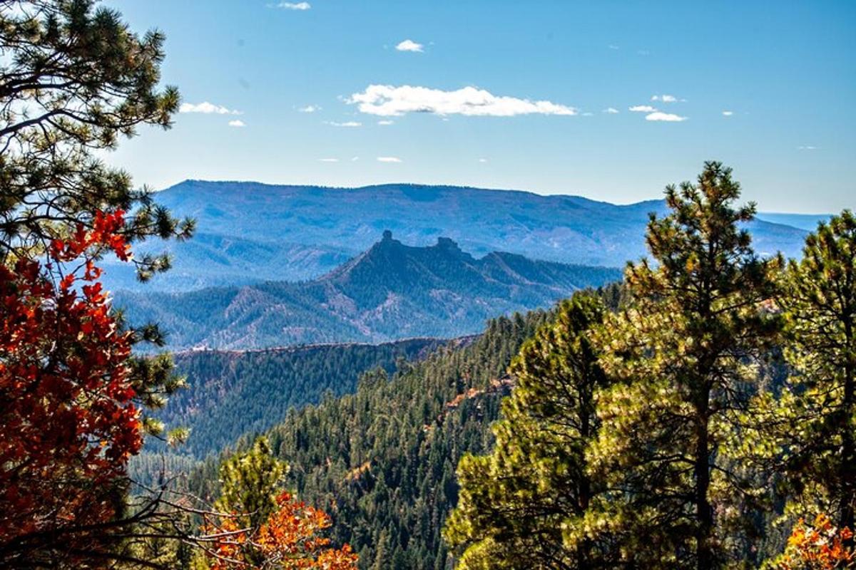 una vista di una valle di montagna con alberi in primo piano