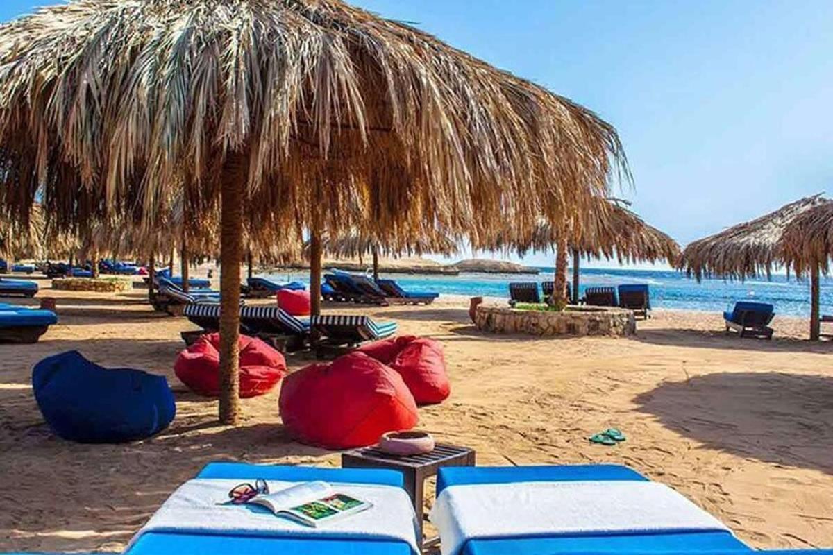 una spiaggia con sedie e ombrelloni e l'oceano