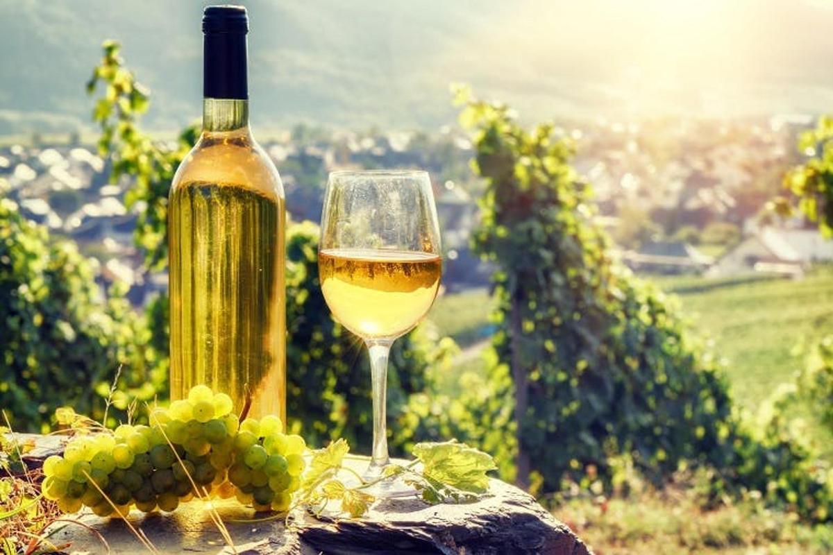 een fles wijn en een glas druiven