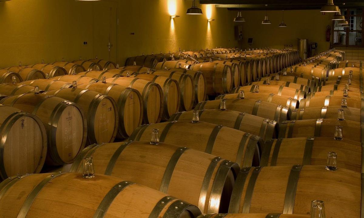 a row of wine barrels in a room