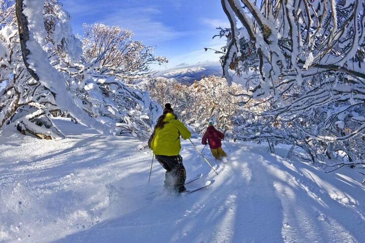 Dues persones esquiant a través d'un bosc cobert de neu