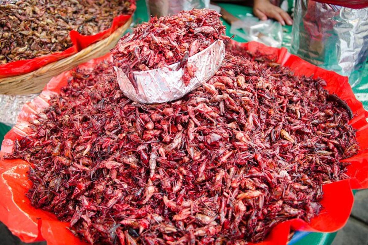 กองกุ้งมังกรแดงบนจานสีแดง