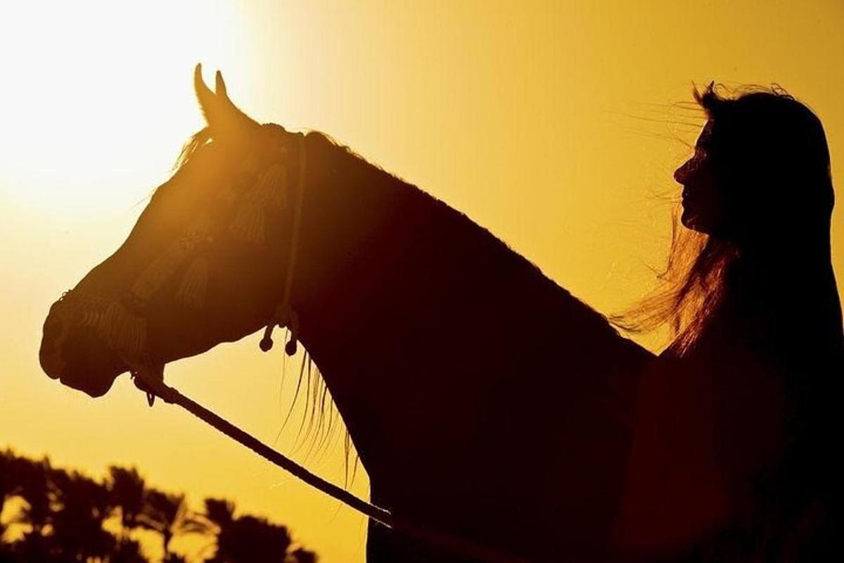 夕日を背景に馬を抱く女性