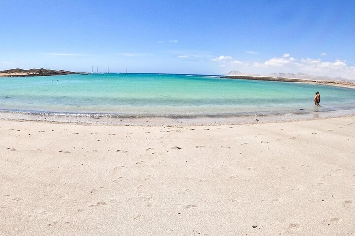 en person som står på en strand nær havet