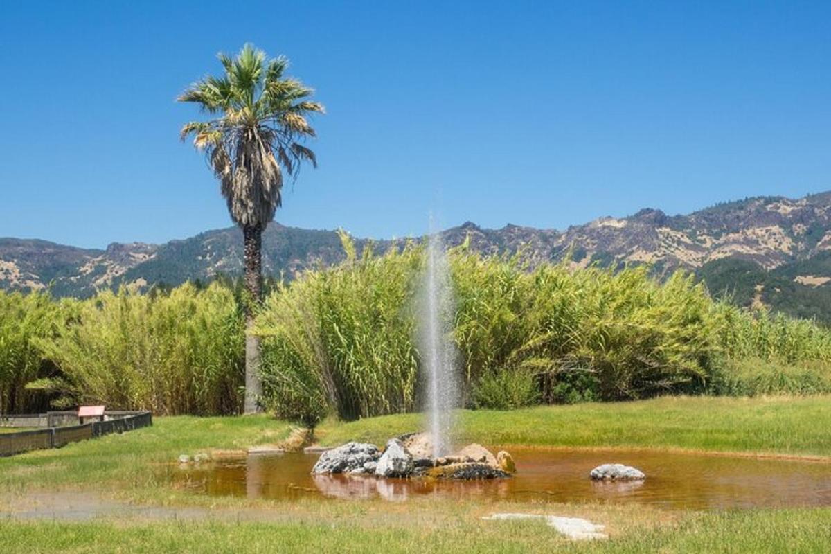 a fountain in the middle of a pond with a palm tree